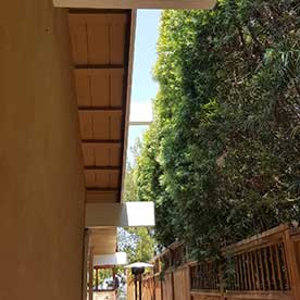 Portfolio-5